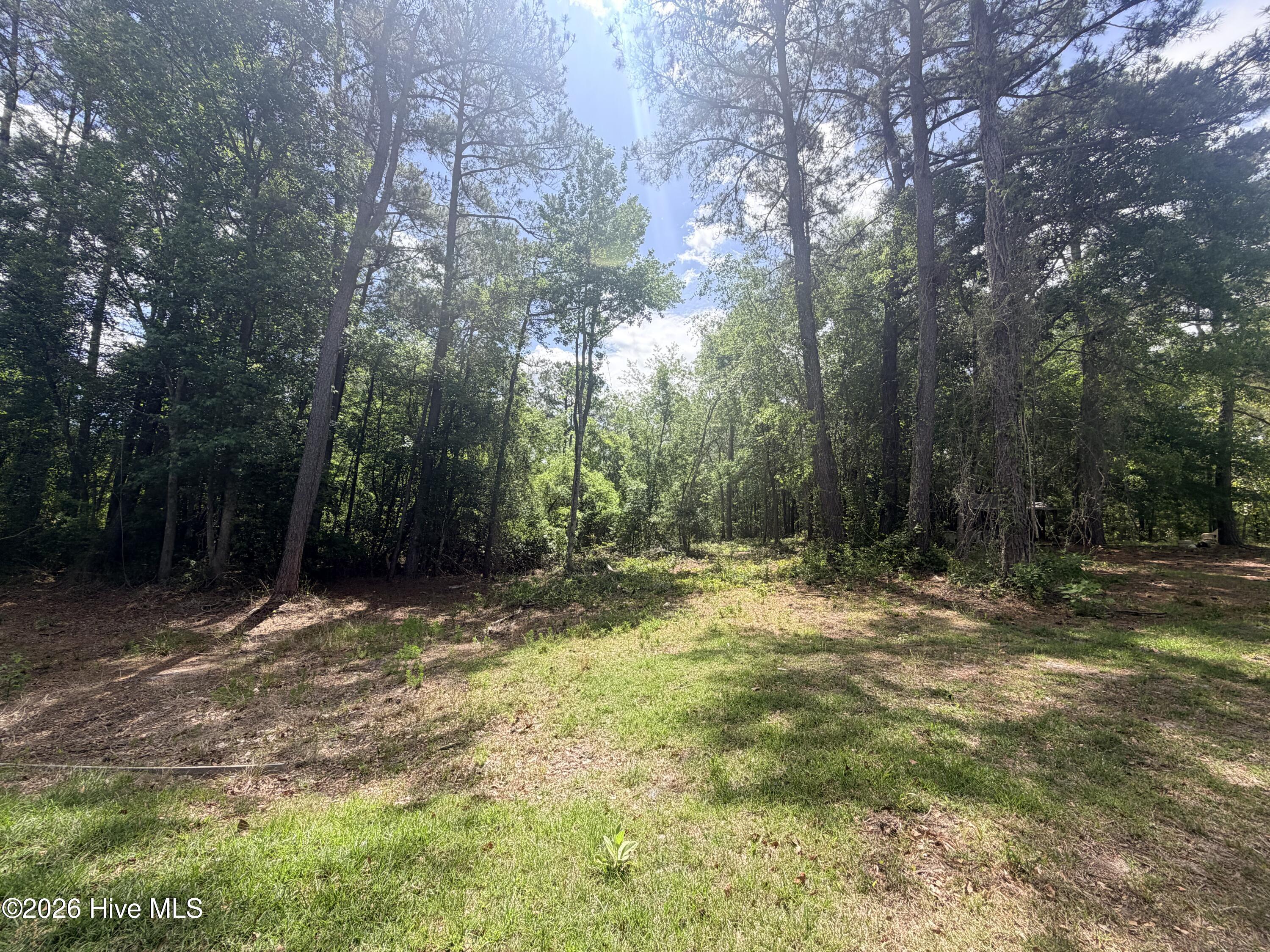 0 Point Caswell Road Atkinson, NC 28421 - Photo 15 of 16 IMG_2826