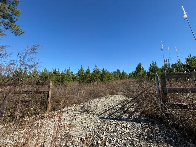 $119,900 | 0 Tanner Road, Marianna, FL 32448