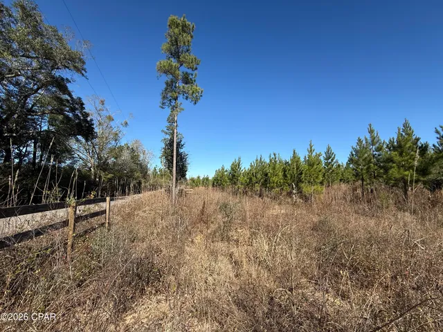 $119,900 | 0 Tanner Road, Marianna, FL 32448