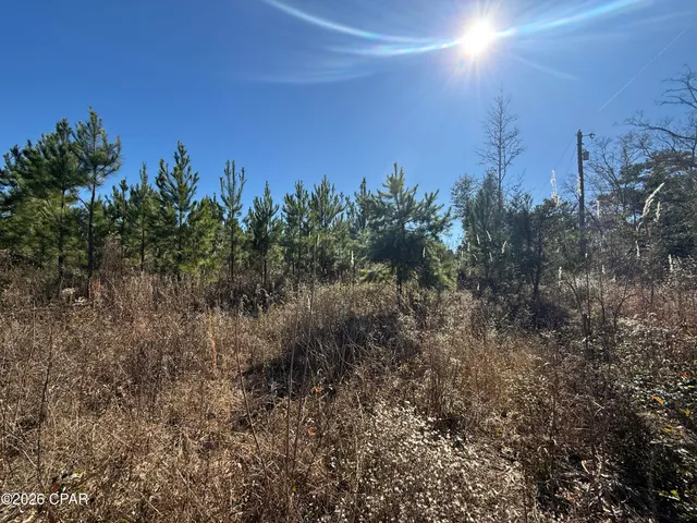 $119,900 | 0 Tanner Road, Marianna, FL 32448