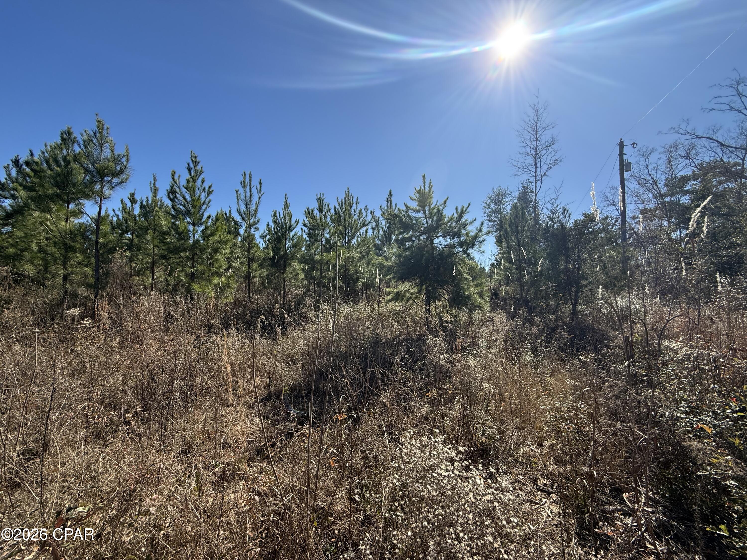 0 Tanner Road Marianna, FL 32448 - Photo 3 of 9