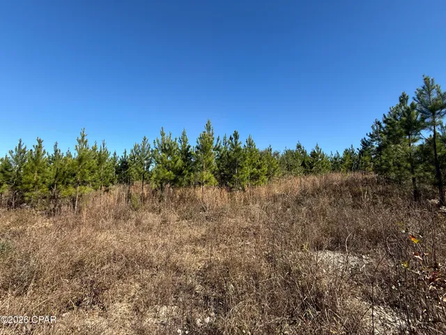 $119,900 | 0 Tanner Road, Marianna, FL 32448