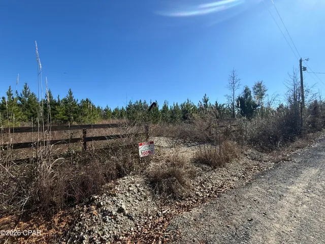 $119,900 | 0 Tanner Road, Marianna, FL 32448