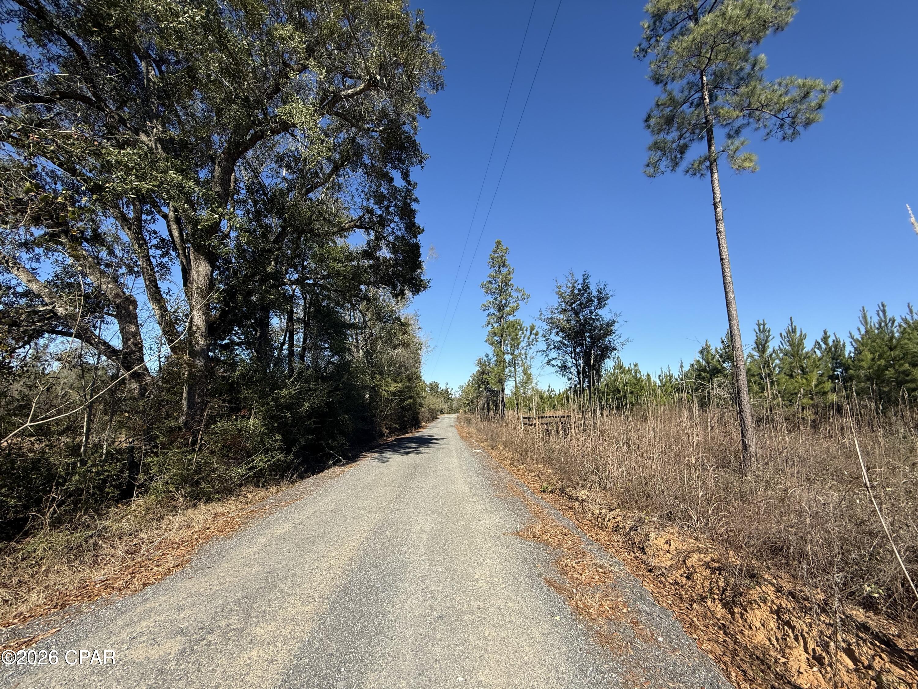 0 Tanner Road Marianna, FL 32448 - Photo 7 of 9