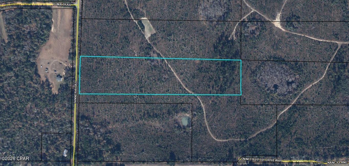 0 Tanner Road Marianna, FL 32448 - Photo 8 of 9