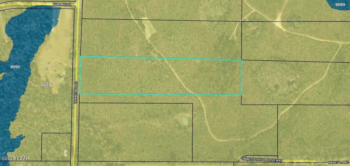 0 Tanner Road Marianna, FL 32448 - Photo 9 of 9