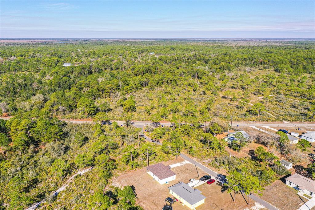 1403 Bittersweet Street Lake Placid, FL 33852 - Photo 19 of 20