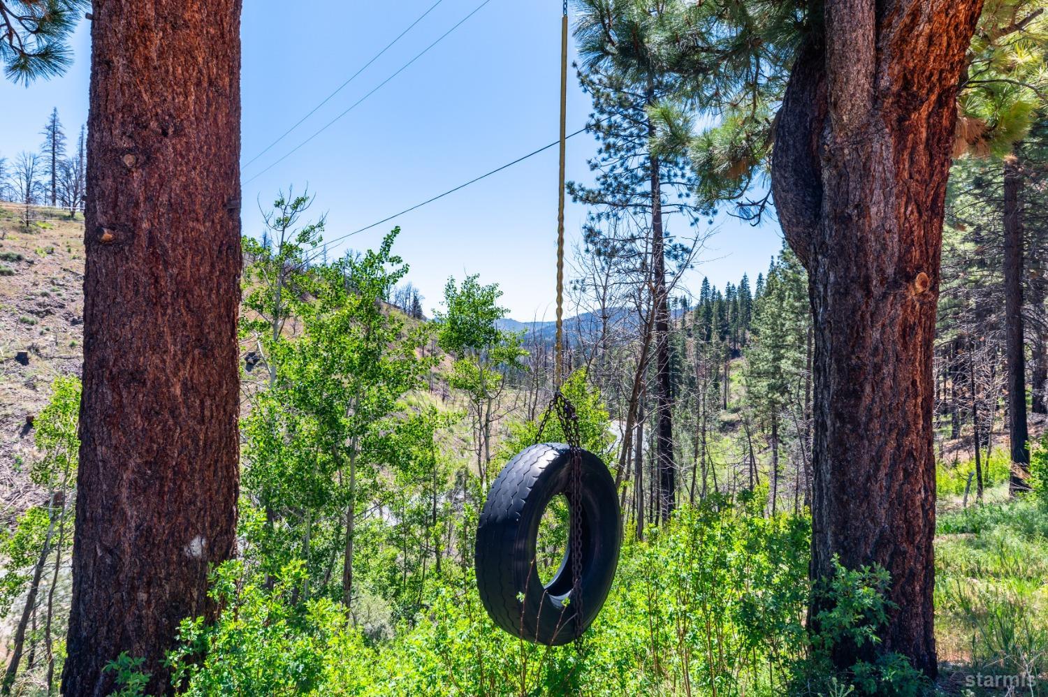 15740 Highway 89 Markleeville, CA 96120 - Photo 23 of 24 a backyard of a house with lots of green space