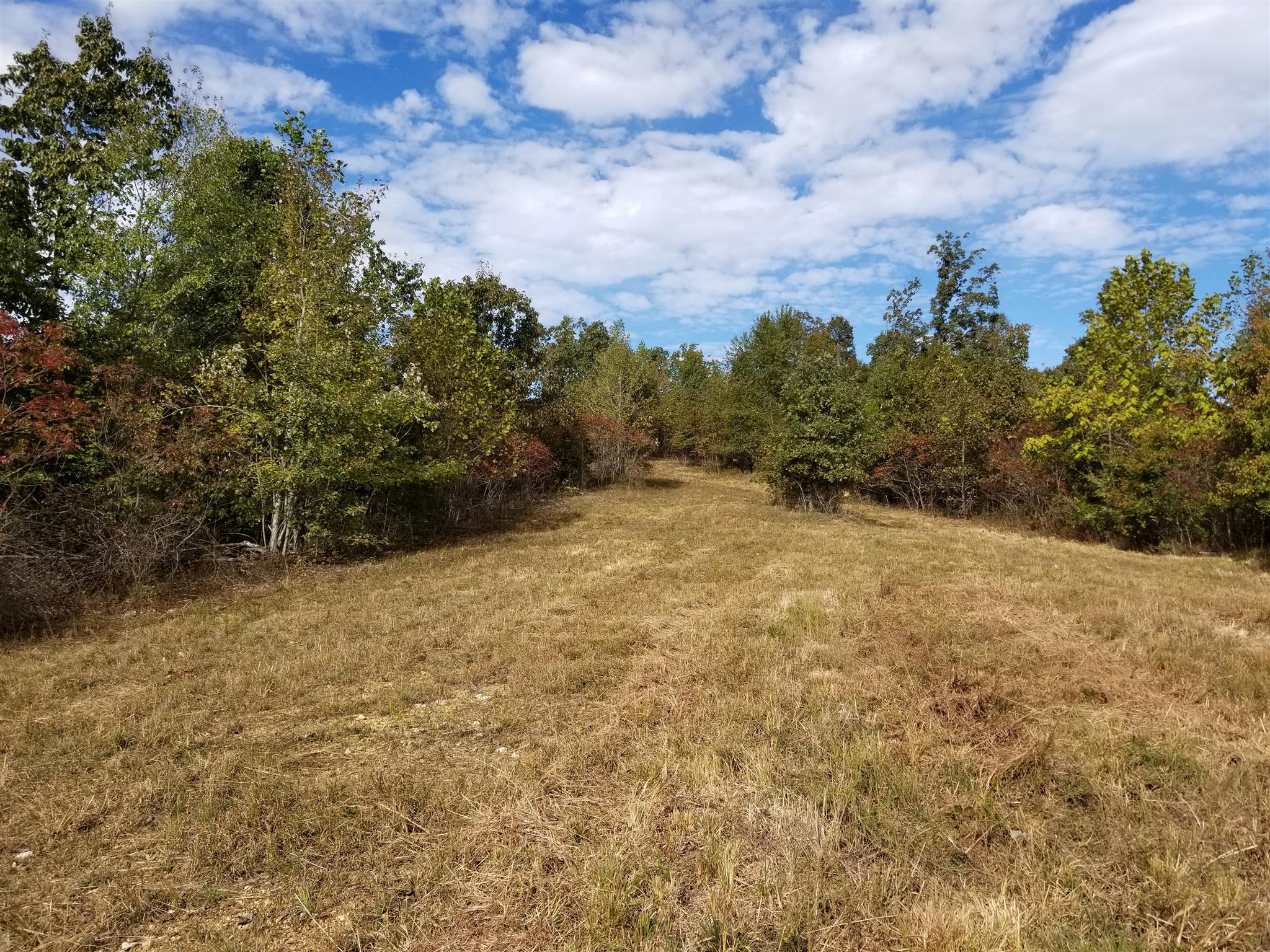 2273 Northfork Road Linden, TN 37096 - Photo 1 of 17 Gallery Image 1