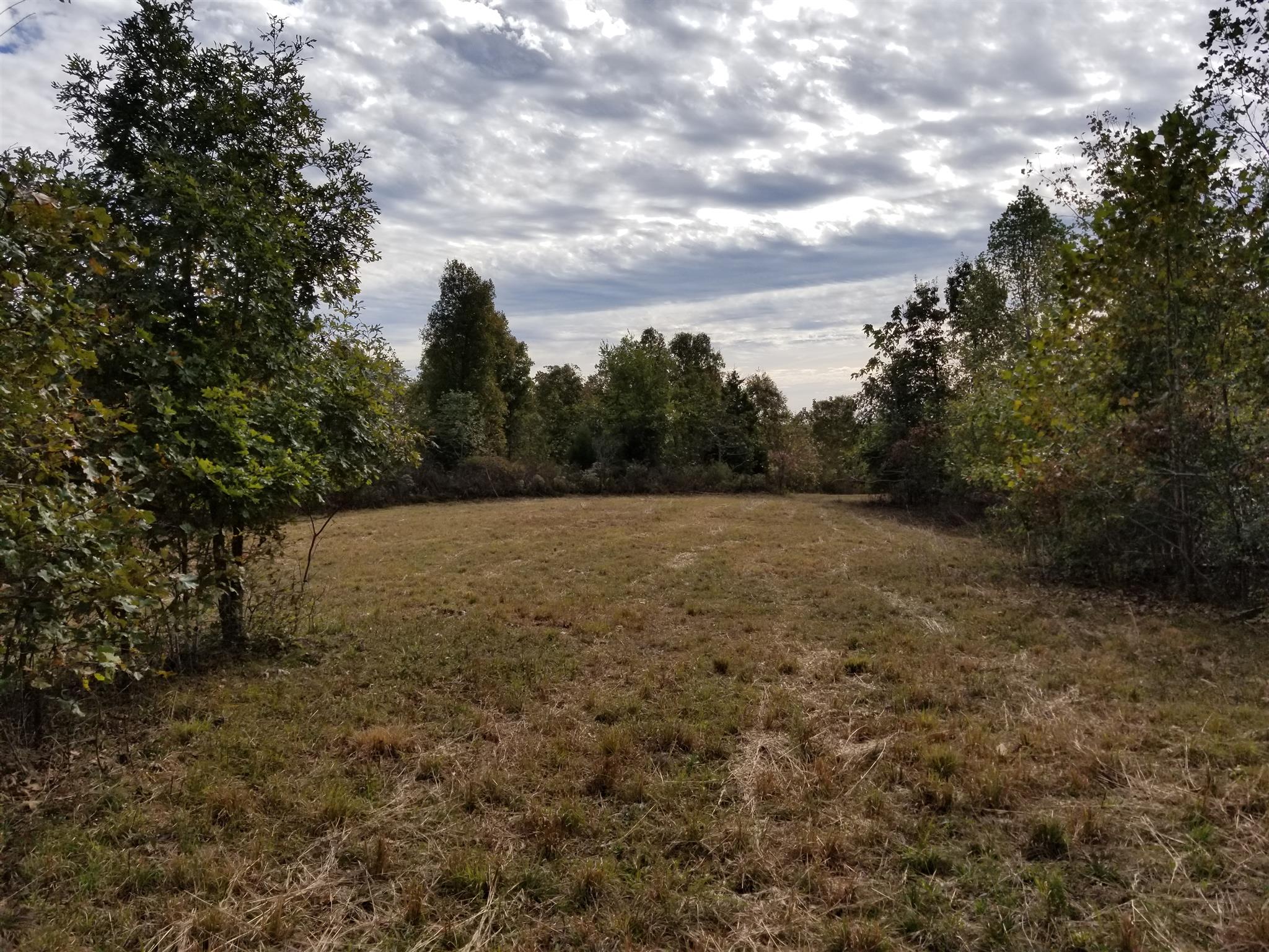 2273 Northfork Road Linden, TN 37096 - Photo 11 of 17 Gallery Image 11
