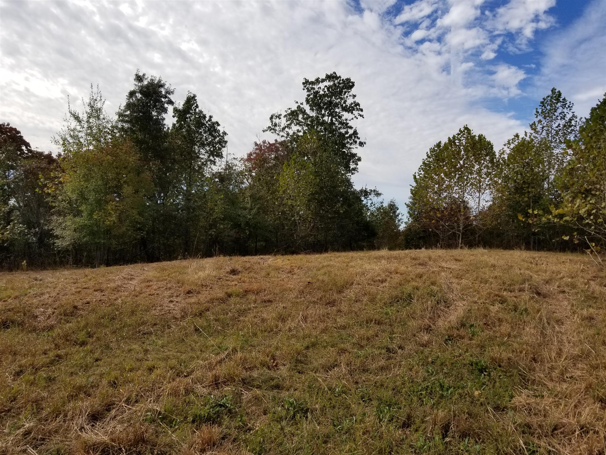 2273 Northfork Road Linden, TN 37096 - Photo 13 of 17 Gallery Image 13