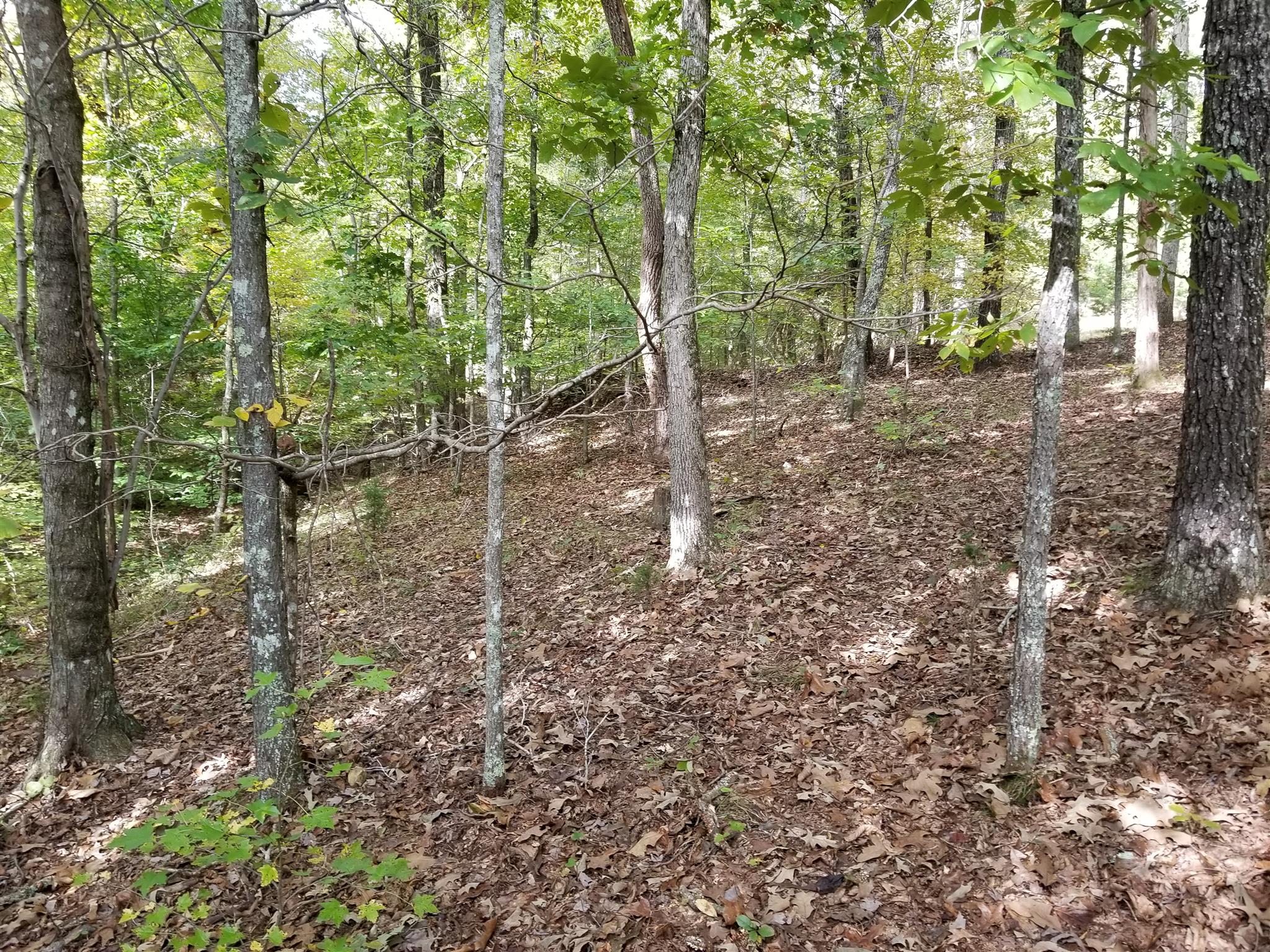 2273 Northfork Road Linden, TN 37096 - Photo 9 of 17 Gallery Image 9