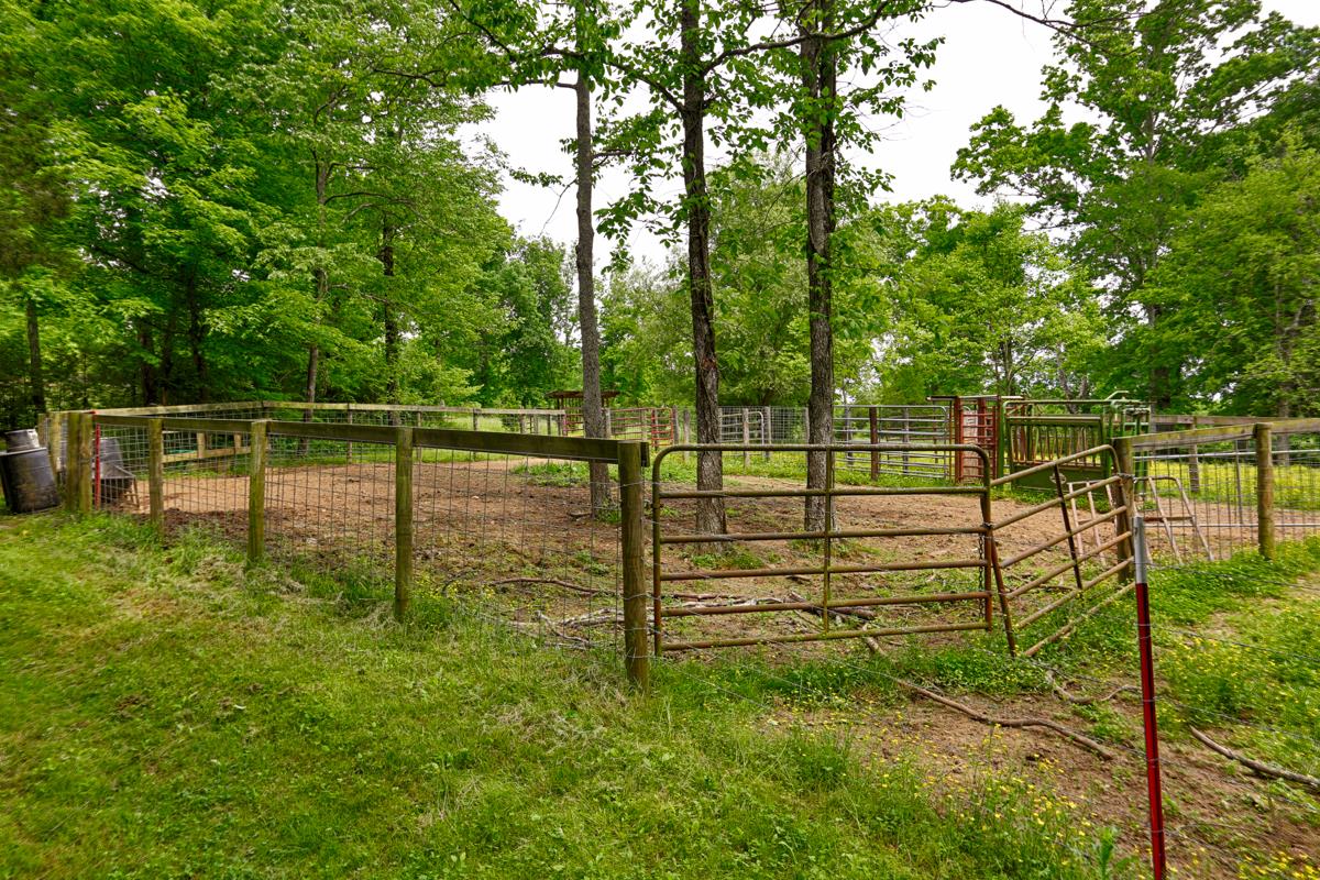 140 Thomas Road Pulaski, TN 38478 - Photo 28 of 30 Gallery Image 28