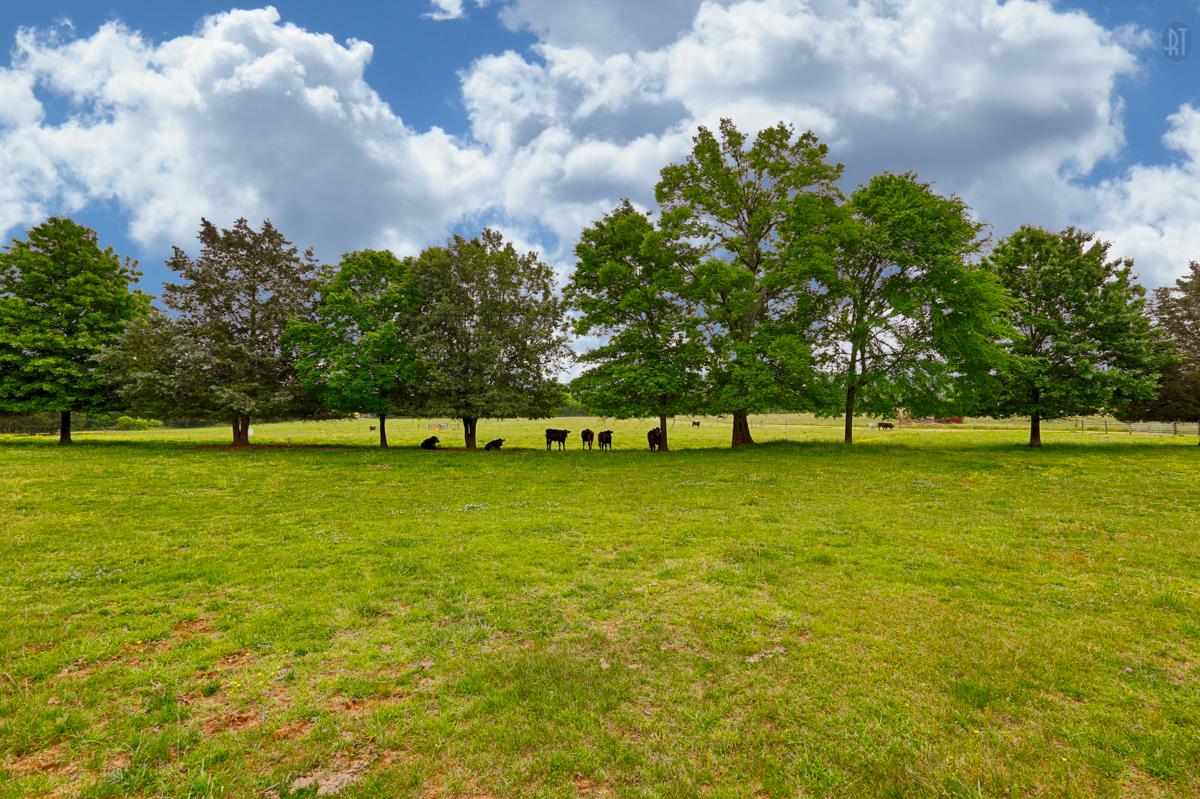 140 Thomas Road Pulaski, TN 38478 - Photo 30 of 30 Gallery Image 30