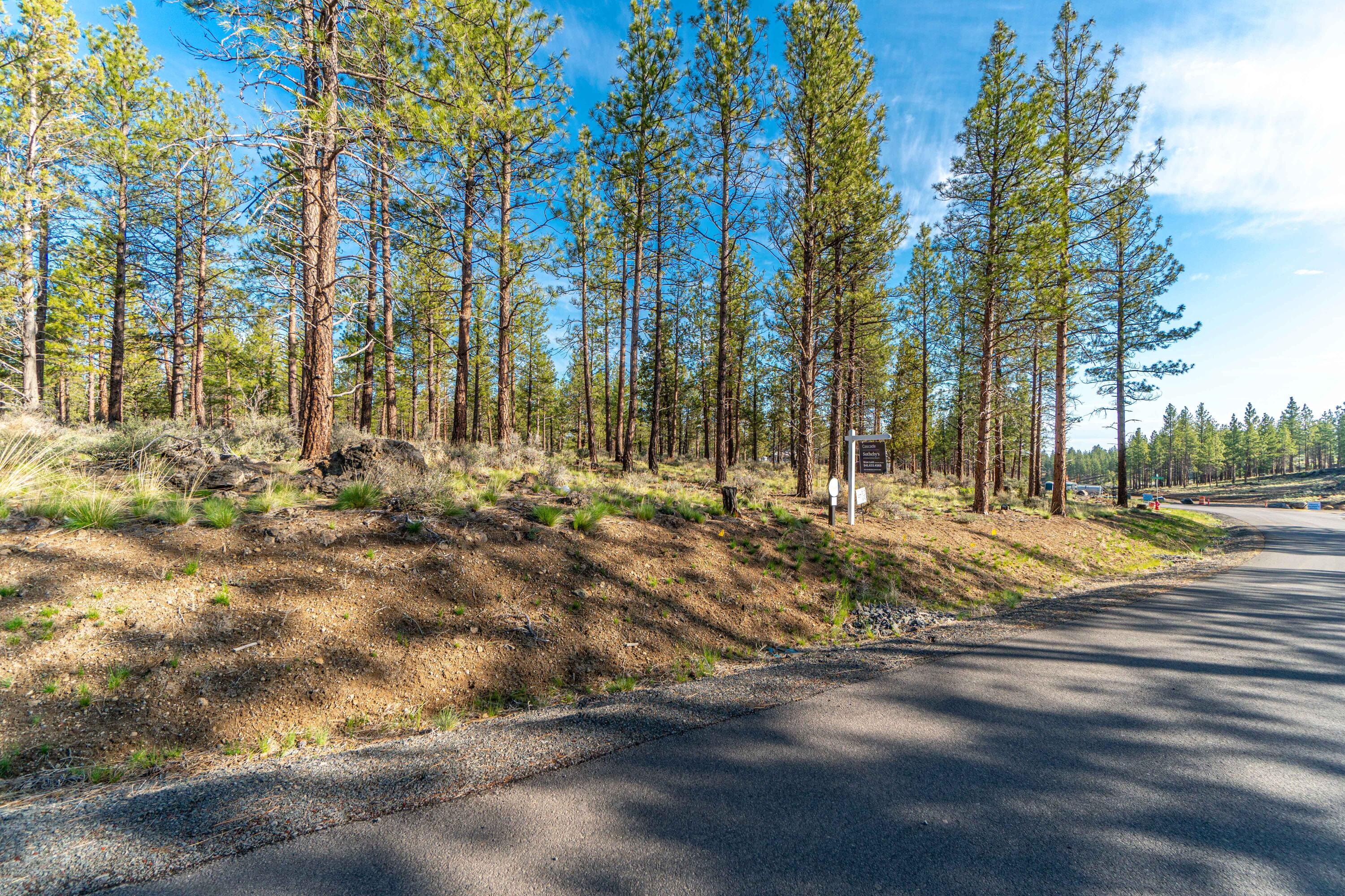 19 Skyline Ranch Road Bend, OR 97703 - Photo 7 of 16 Lot 19 8