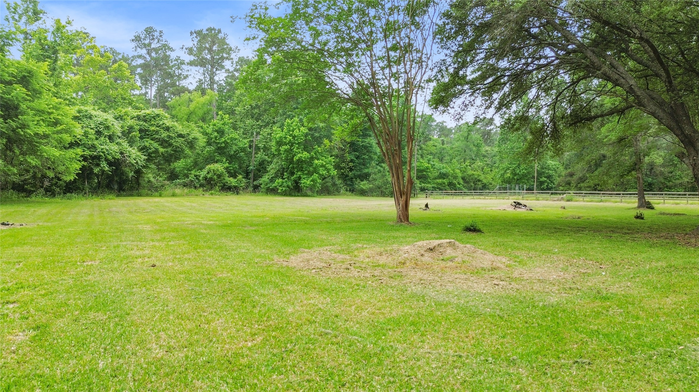 74 Robinson Road Huntsville, TX 77320 - Photo 27 of 33 a view of a trees in a park