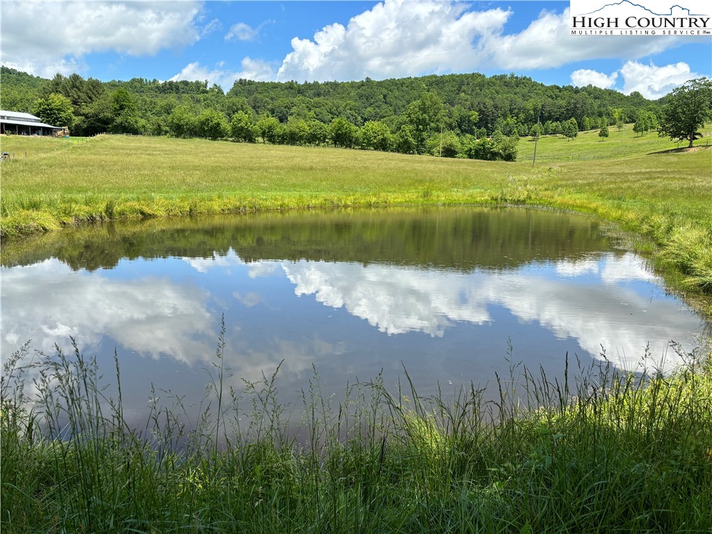 4611 Summit Road Purlear, NC 28665 - Photo 39 of 49 Gallery Image 39