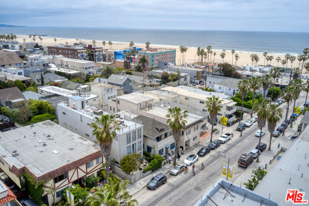 44 Rose Avenue Venice, CA 90291 - Photo 9 of 33 a picture of city view with lot of flower plants