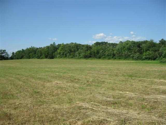 1 Spawn Hollow Road Bethlehem, NY 12158 - Photo 3 of 4 Photo 3