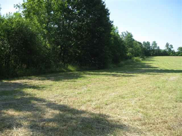 1 Spawn Hollow Road Bethlehem, NY 12158 - Photo 4 of 4 Photo 4