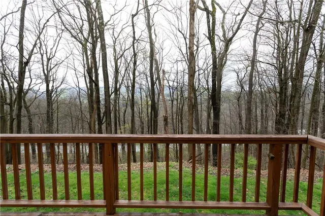 a view of backyard with trees