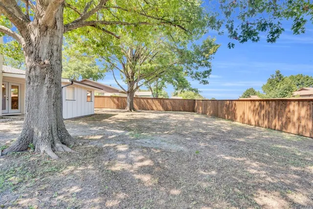 a view of a backyard with large tree and wooden fence