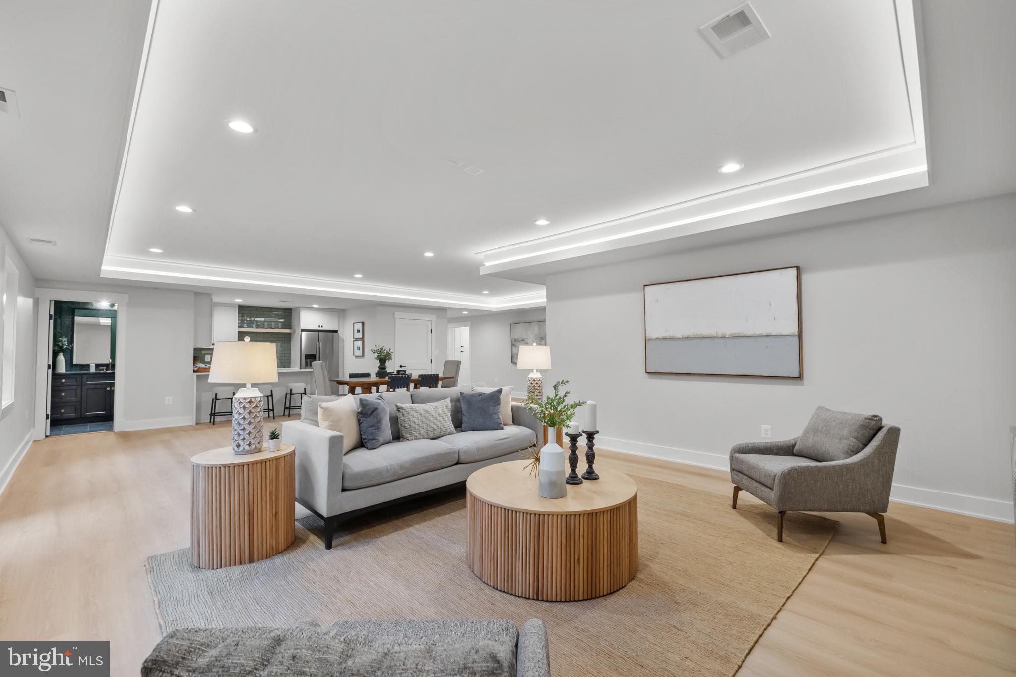 1852 Griffith Road Falls Church, VA 22043 - Photo 96 of 110 a living room with furniture and a potted plant