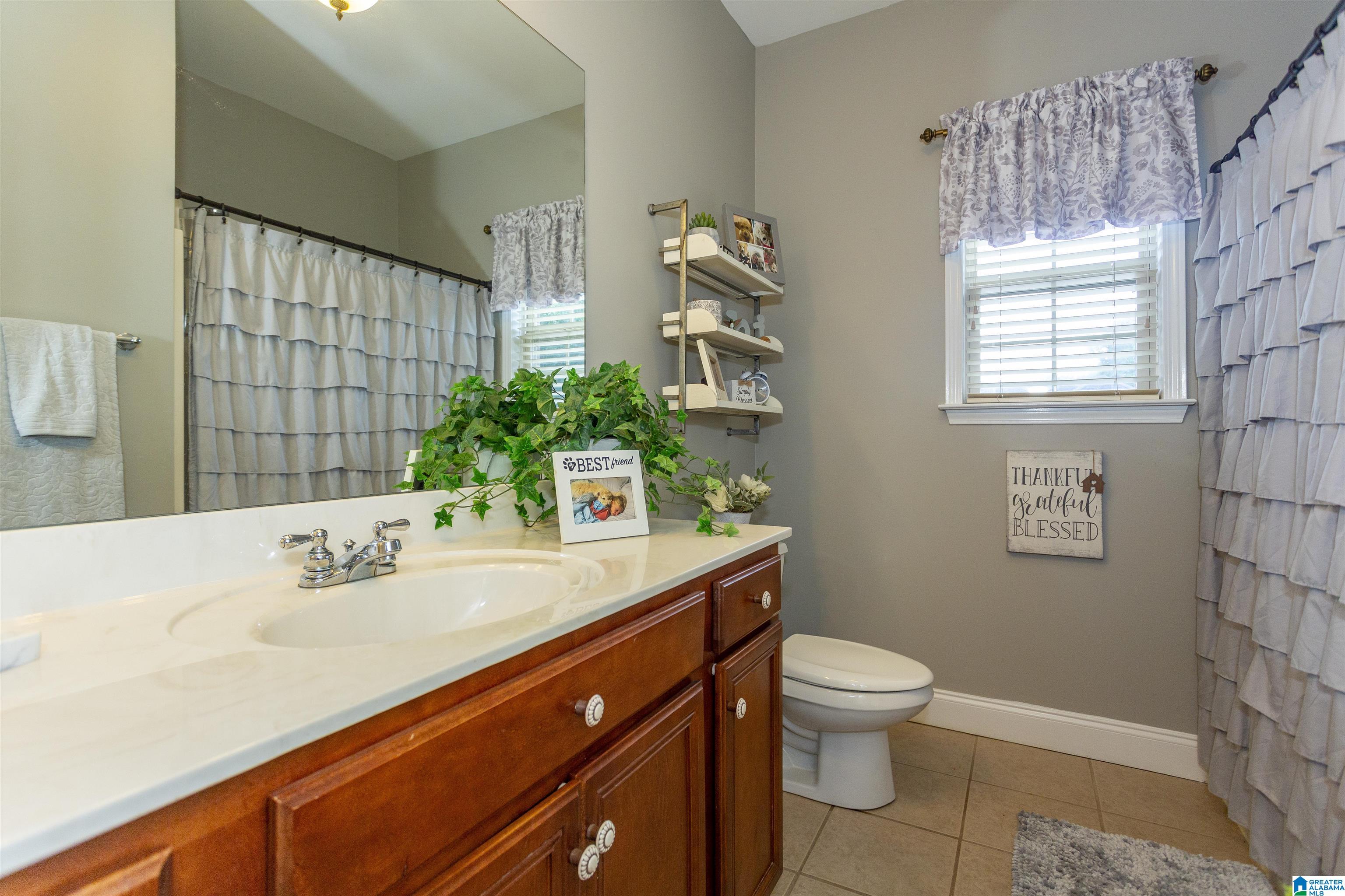22940 Country Ridge Parkway McCalla, AL 35111 - Photo 43 of 73 Gallery Image 43