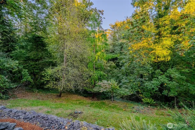 a view of a yard with a tree