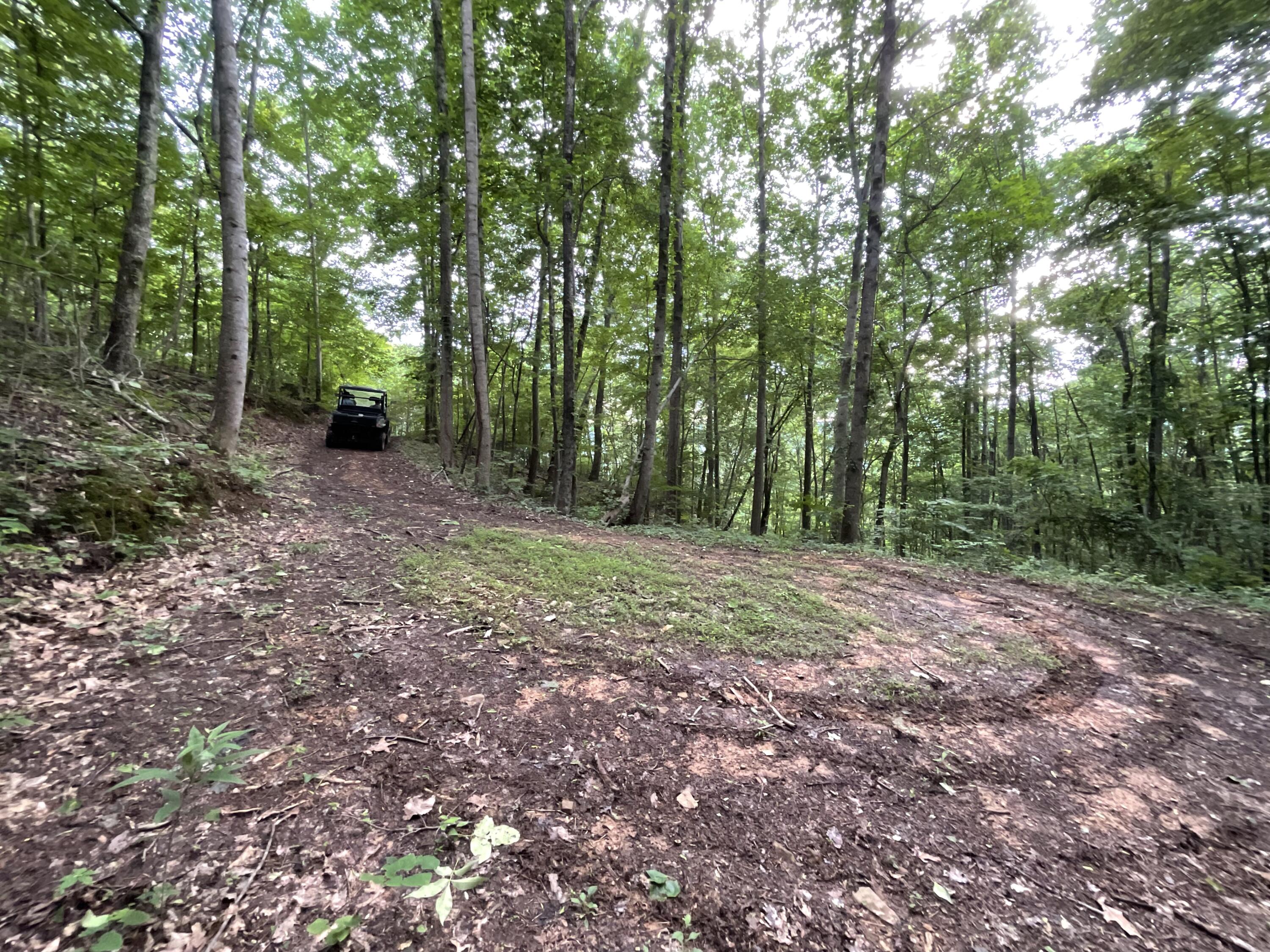 690 Ditch Gap Road Whitwell, TN 37397 - Photo 87 of 93 IMG_0252