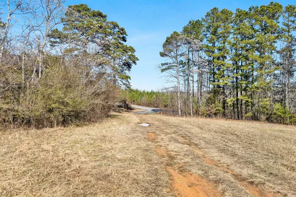 a view of a yard with trees and bushes