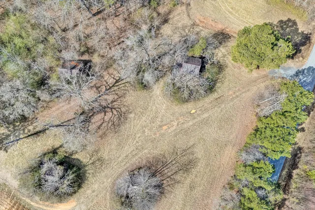 a view of a dry yard with lots of green space