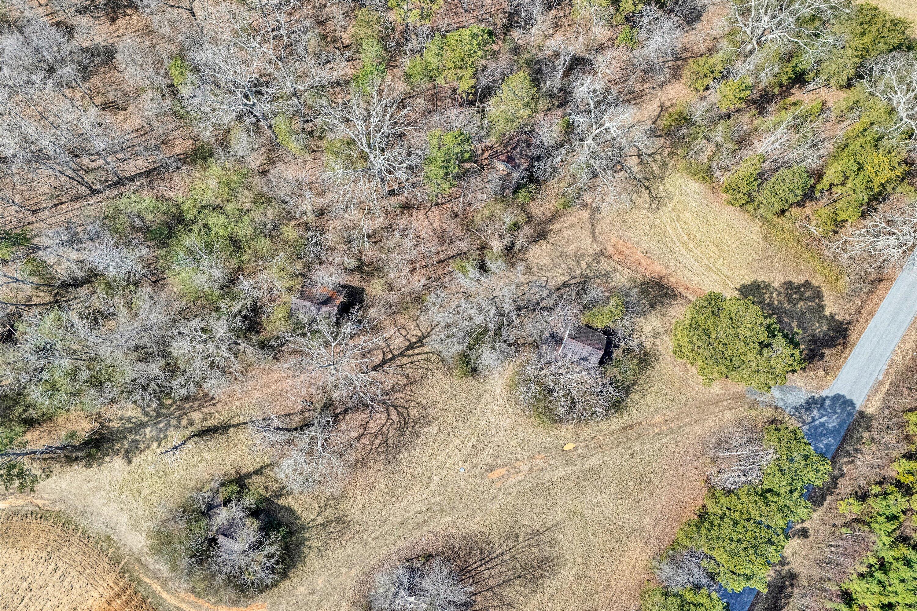 604 Green Farm Road Danville, VA 24540 - Photo 12 of 25 a view of a dry yard with lots of bushes
