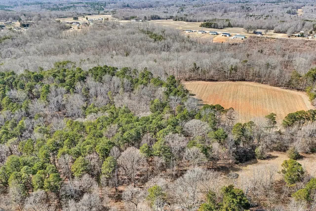 a view of a dry yard with trees