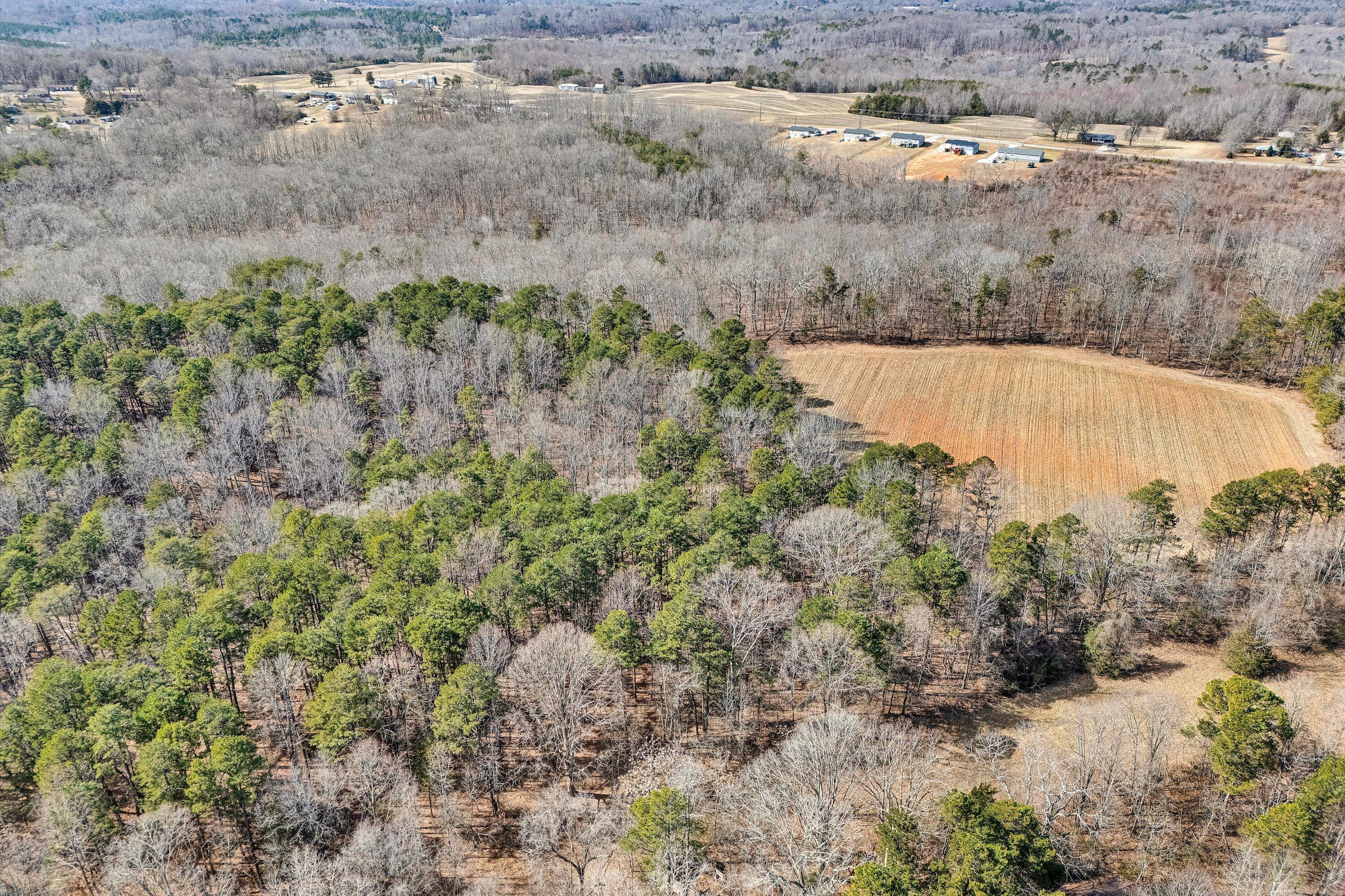 604 Green Farm Road Danville, VA 24540 - Photo 13 of 25 a view of a dry yard with trees