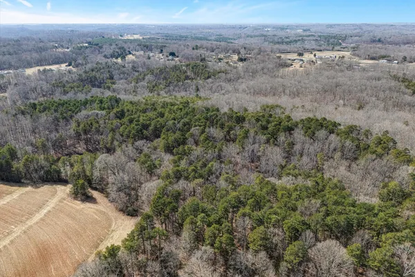 an aerial view of forest