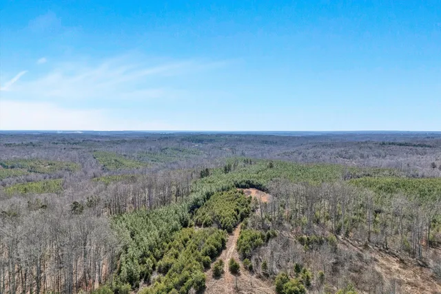 a view of a field with trees