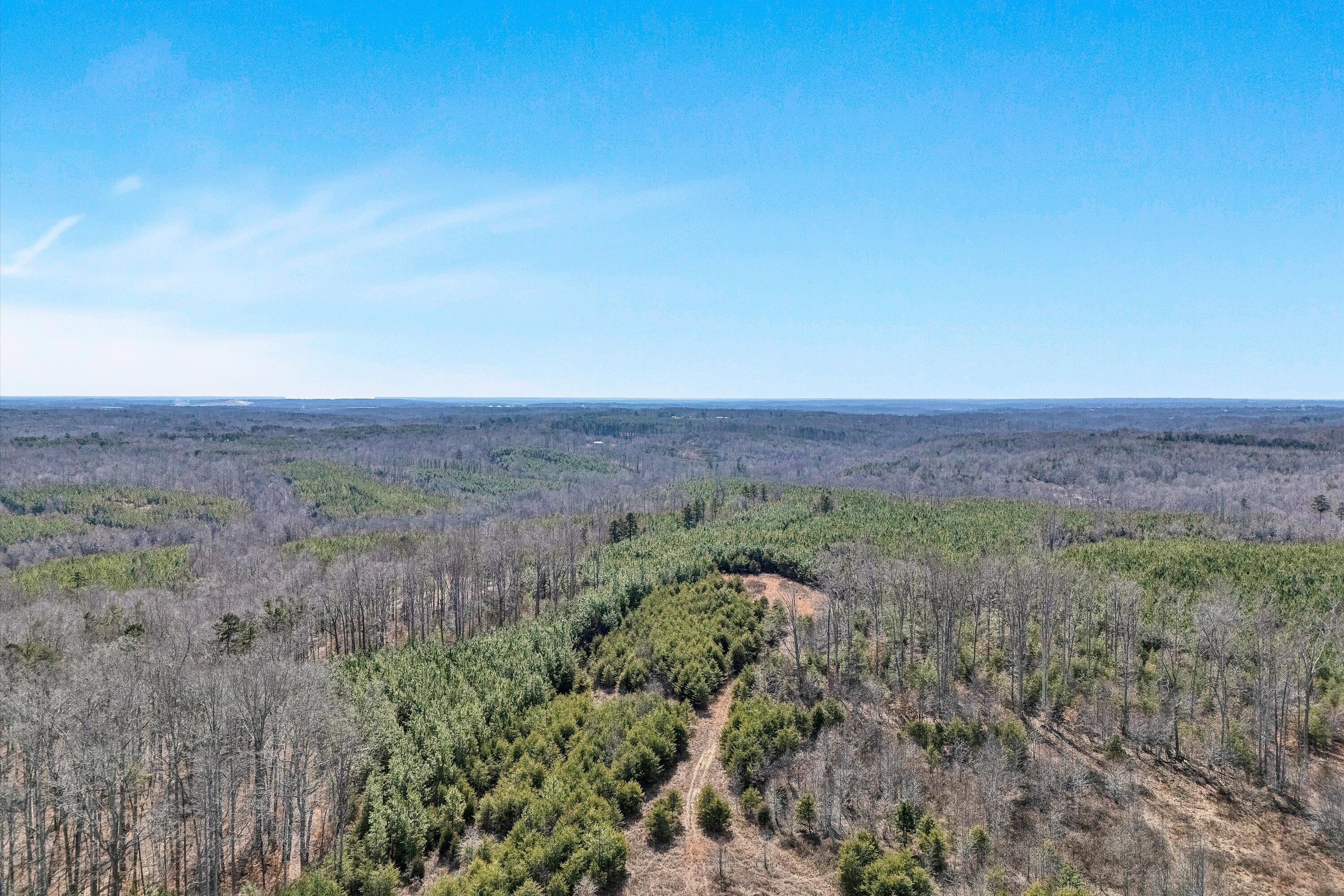 604 Green Farm Road Danville, VA 24540 - Photo 15 of 25 a view of a field with trees