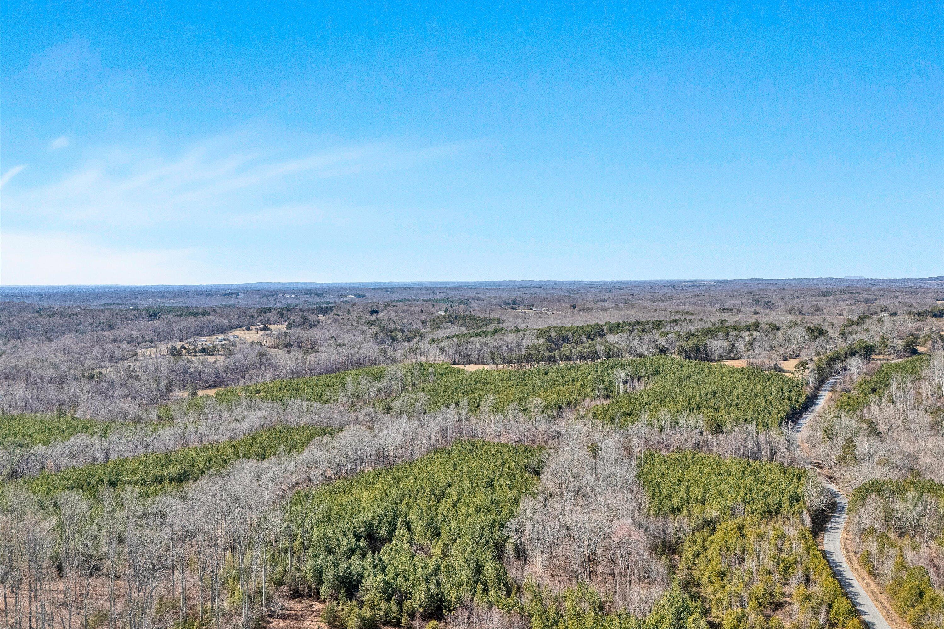 604 Green Farm Road Danville, VA 24540 - Photo 16 of 25 a view of a green field