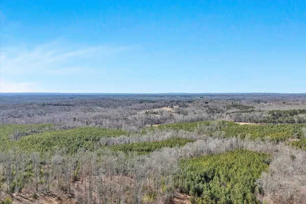 a view of a dry field with trees in the background