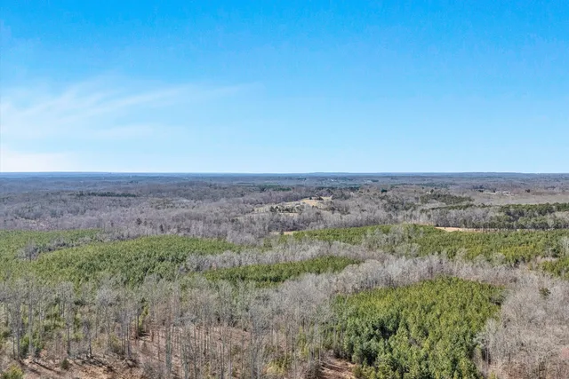 a view of a dry field with trees in the background