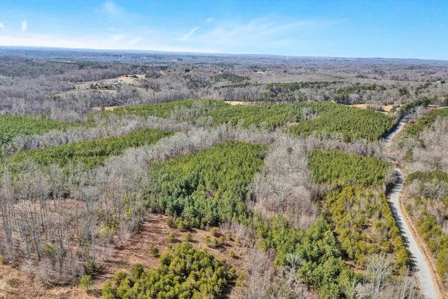a view of a city with lush green forest