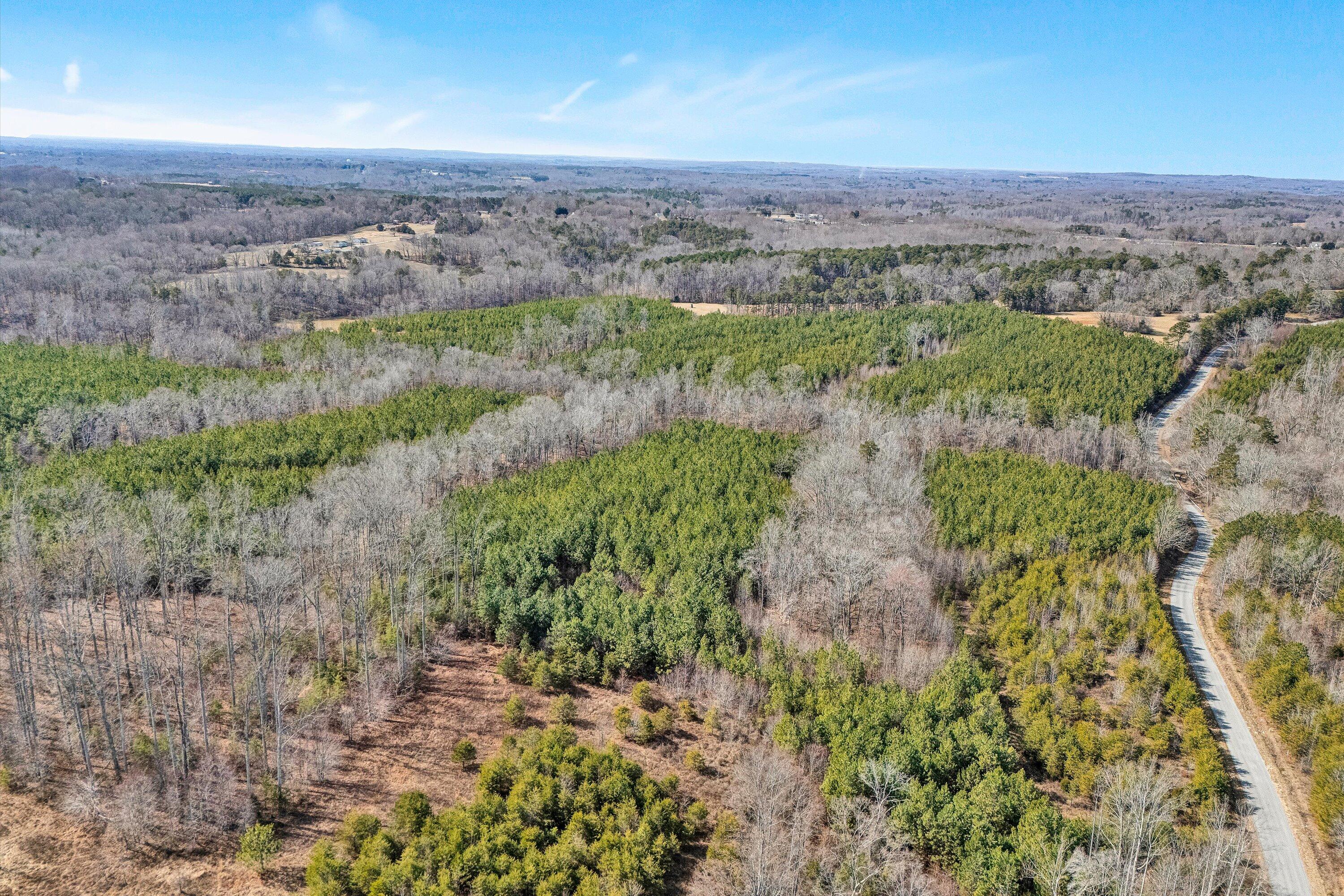 604 Green Farm Road Danville, VA 24540 - Photo 20 of 25 a view of a city with lush green forest