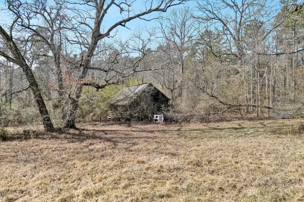 a view of a yard with large trees