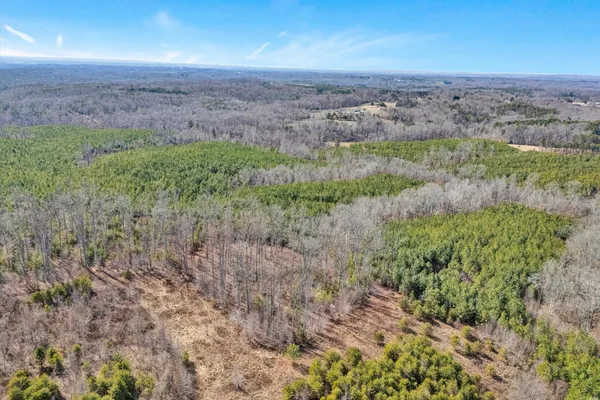an aerial view of house with yard and mountain in the background