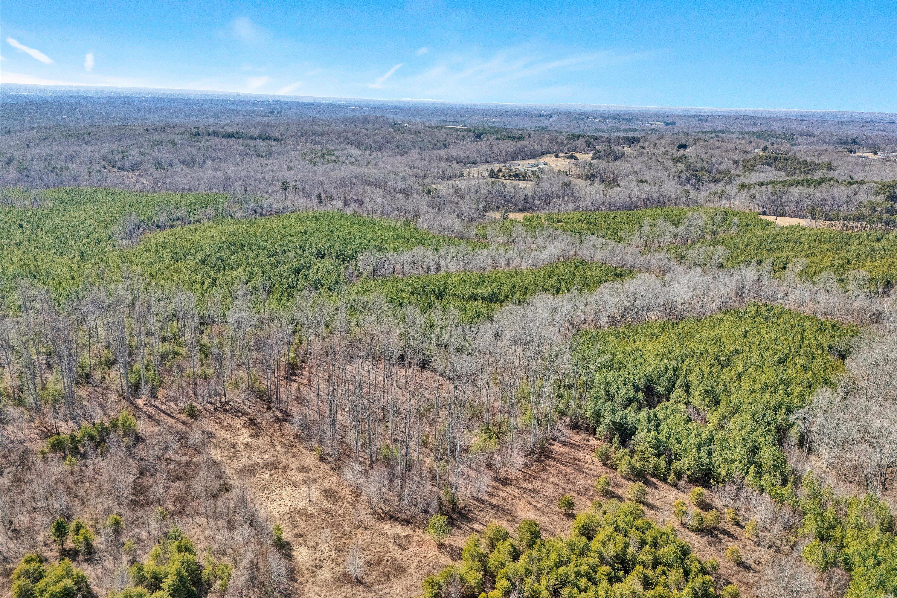 604 Green Farm Road Danville, VA 24540 - Photo 21 of 25 an aerial view of house with yard and mountain in the background