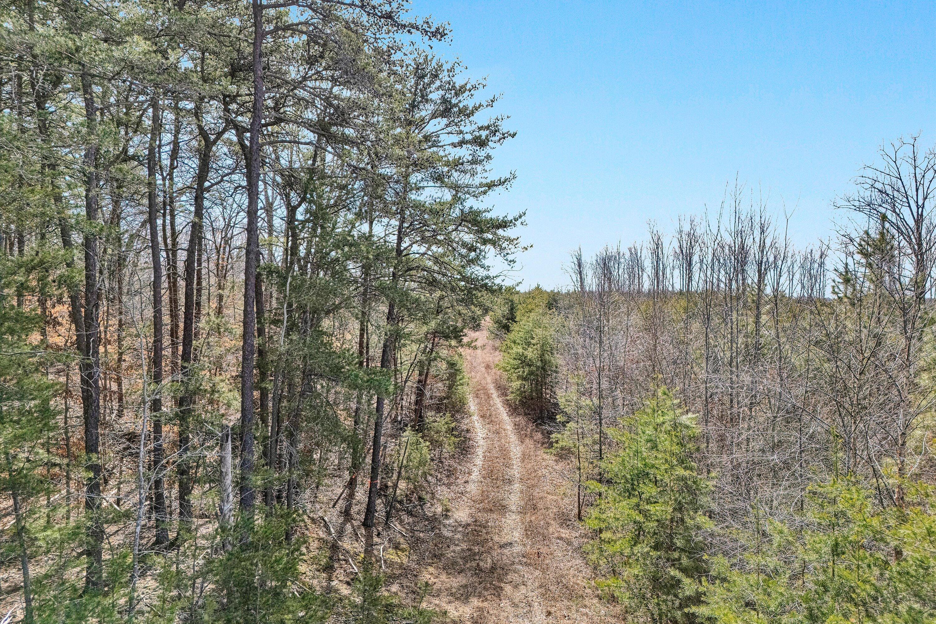604 Green Farm Road Danville, VA 24540 - Photo 3 of 25 a view of a forest with trees in the background