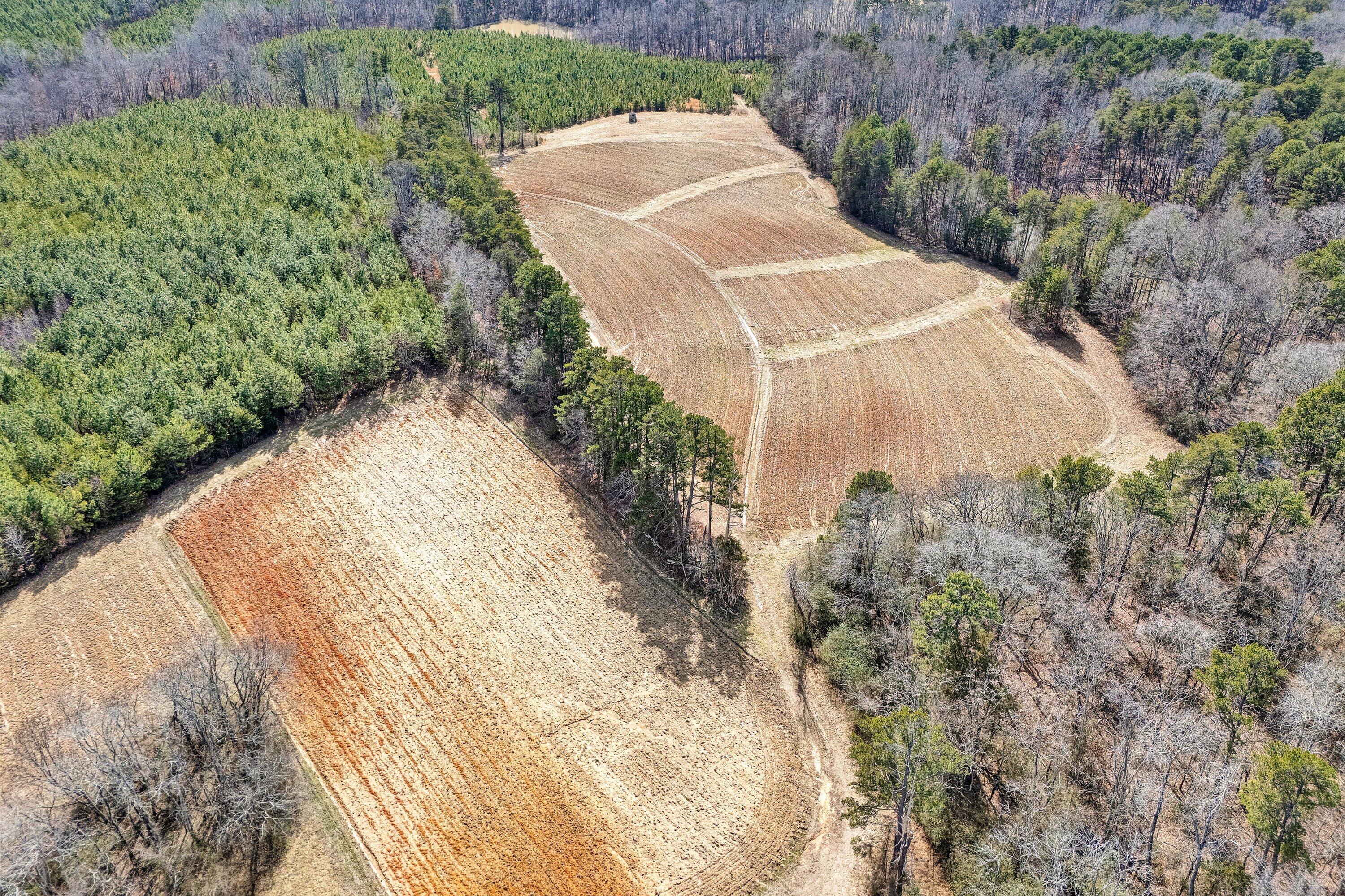 604 Green Farm Road Danville, VA 24540 - Photo 9 of 25 a view of a yard with plants