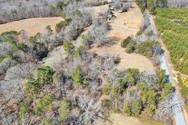a view of a yard with a tree