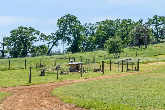 a backyard of a house with lots of green space